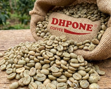 Cà Phê Nhân Xanh Việt Nam Cao Cấp – Robusta & Arabica Chất Lượng Cao Dành Cho Xuất Khẩu