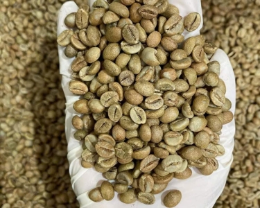 GREEN COFFEE BEAN ARABICA ROBUSTA RAW FROM VIET NAM