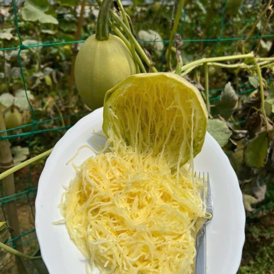 BÍ SỢI MỲ