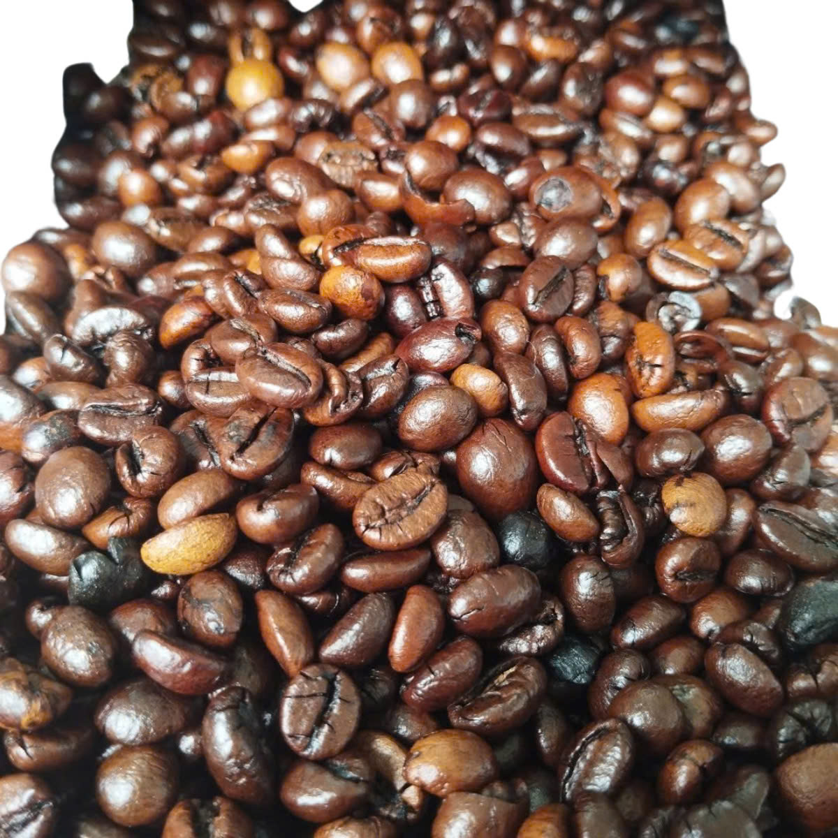 Dải Sản Phẩm Nhà Xuất Khẩu Cà Phê Việt Nam Robusta Arabica Và Các Phân Loại Cà Phê Nhân