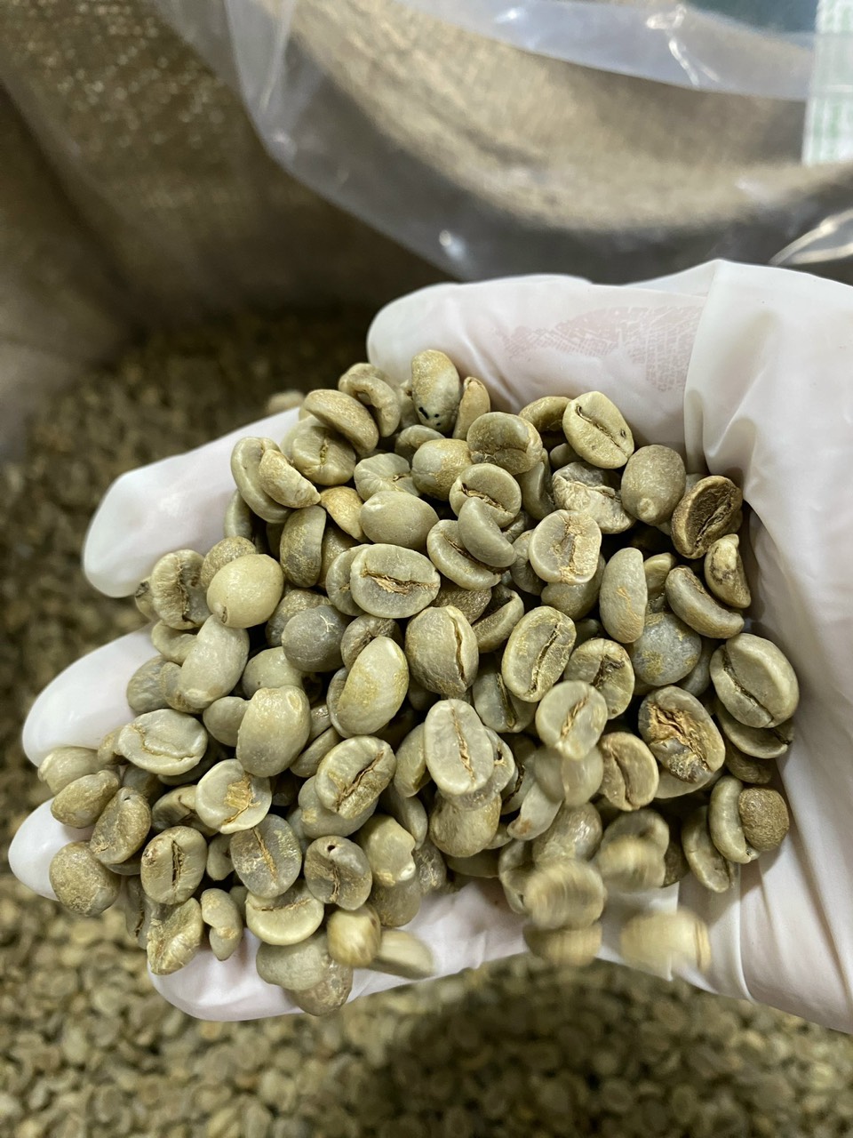Cà Phê Nhân Xanh Việt Nam Cao Cấp – Robusta & Arabica Chất Lượng Cao Dành Cho Xuất Khẩu Trong Bao Đay