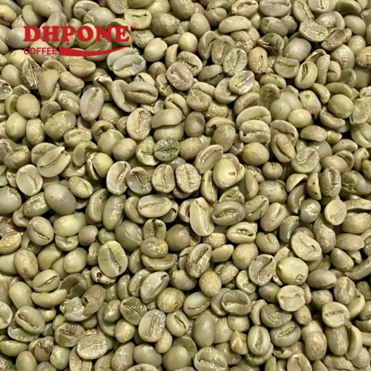 CÀ PHÊ NHÂN XANH ARABICA RỬA SẠCH HOÀN TOÀN KÍCH THƯỚC 14