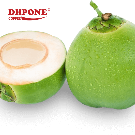 DỪA XIÊM BẾN TRE NGUYÊN VỎ