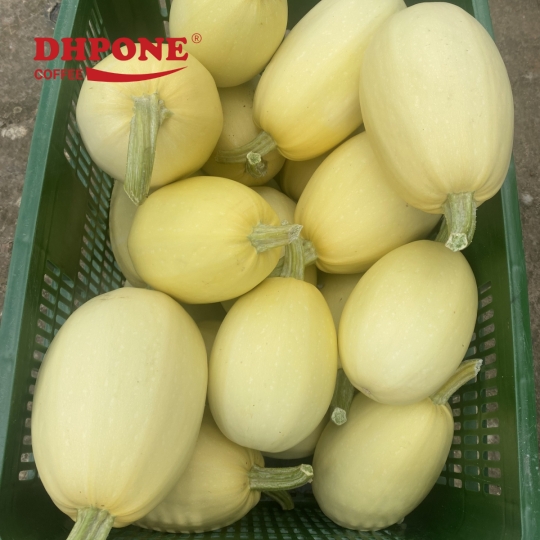 BÍ SỢI MỲ