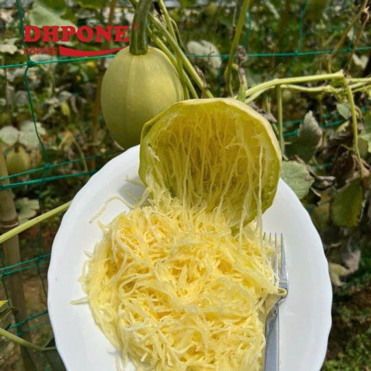 BÍ SỢI MỲ